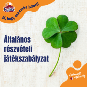 Általános  részvételi játékszabályzat