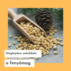 Fenyőmag – egy különleges alapanyag a mindennapokra